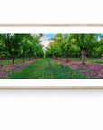 Apple - Tasmania Wall Art - Digital Download - Days Adrift