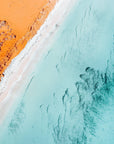 Bella - Shark Bay Wall Art - Digital Download - Days Adrift