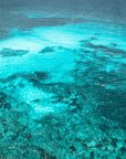 Briar - Dongara Wall Art - Digital Download - Days Adrift