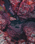 Byron - Karijini Wall Art - Digital Download - Days Adrift