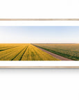 Cade - Mingenew Wall Art - Digital Download - Days Adrift