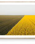 Cadence - Mingenew Wall Art - Digital Download - Days Adrift