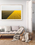 Cadence - Mingenew Wall Art - Framed Print - Days Adrift