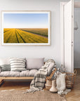 Caelan - Mingenew Wall Art - Framed Print - Days Adrift
