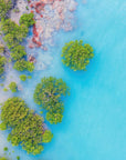 Dale - Broome Wall Art - Digital Download - Days Adrift