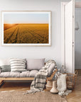 Dash - Mingenew Wall Art - Digital Download - Days Adrift