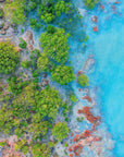 Eddison - Broome Wall Art - Digital Download - Days Adrift