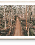 Harriet - Boranup Wall Art - Digital Download - Days Adrift