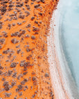 Ivy - Shark Bay Wall Art - Digital Download - Days Adrift