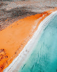 Kayla - Shark Bay Wall Art - Digital Download - Days Adrift