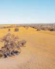 Kevin - Mingenew Wall Art - Digital Download - Days Adrift