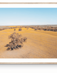 Kevin - Mingenew Wall Art - Digital Download - Days Adrift