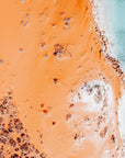 Layla - Shark Bay Wall Art - Digital Download - Days Adrift