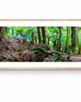 Noah - St Columba Falls Wall Art - Digital Download - Days Adrift