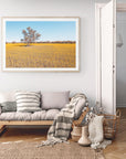 Roy - Mingenew Wall Art - Framed Print - Days Adrift