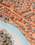 Sacha - Shark Bay Wall Art - Digital Download - Days Adrift