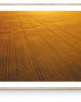 Seamus - Mingenew Wall Art - Digital Download - Days Adrift