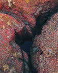 Zachary - Karijini Wall Art - Digital Download - Days Adrift