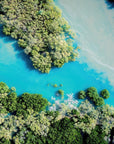 Zohra - Willie Creek Wall Art - Digital Download - Days Adrift