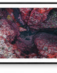 Byron - Karijini Wall Art - Framed Print - Days Adrift