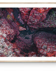 Byron - Karijini Wall Art - Framed Print - Days Adrift