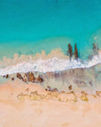 Chester - Hamelin Bay Wall Art - Framed Print - Days Adrift
