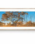 Fletcher - Karijini Wall Art - Framed Print - Days Adrift