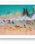 Flynn - Hamelin Bay Wall Art - Framed Print - Days Adrift
