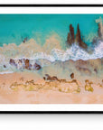 Flynn - Hamelin Bay Wall Art - Framed Print - Days Adrift