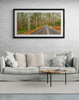 Forest - Pemberton Wall Art - Digital Download - Days Adrift