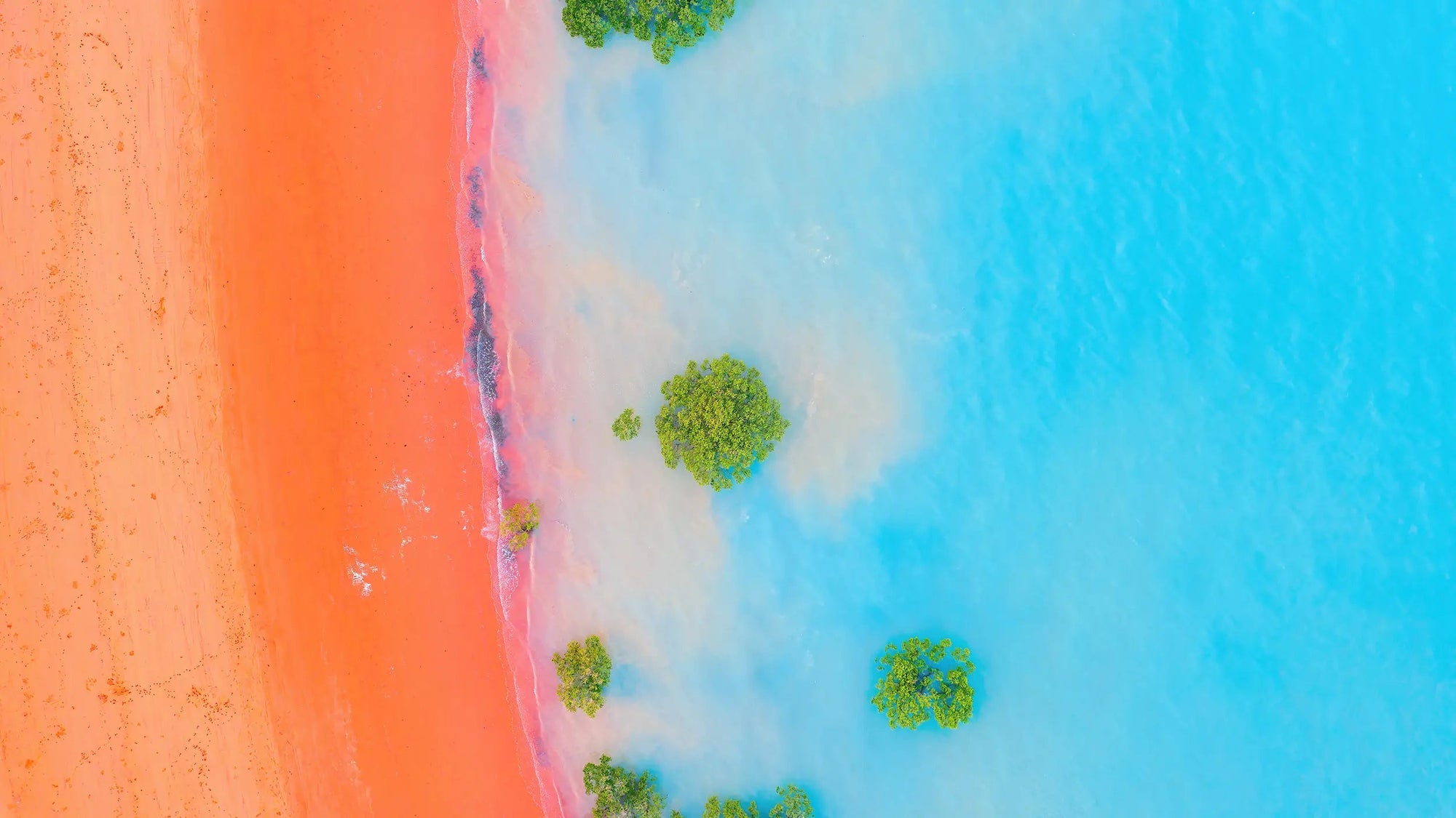 Digital Downloads - Days Adrift