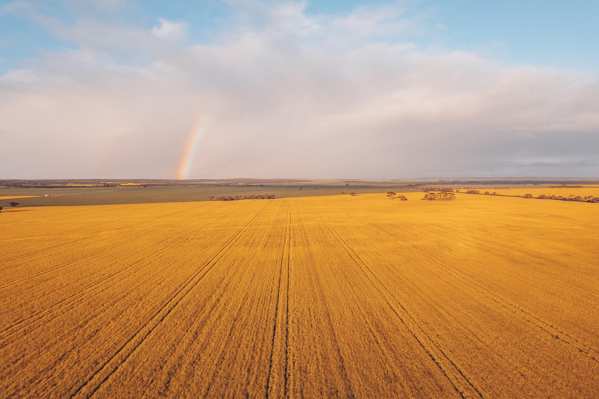 Mid-West Wall Art Prints - Days Adrift