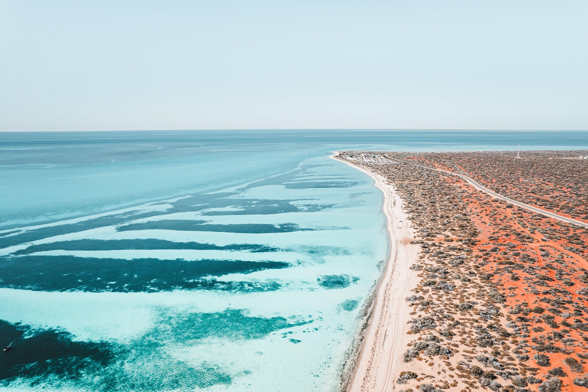 Shark Bay Wall Art Prints - Days Adrift