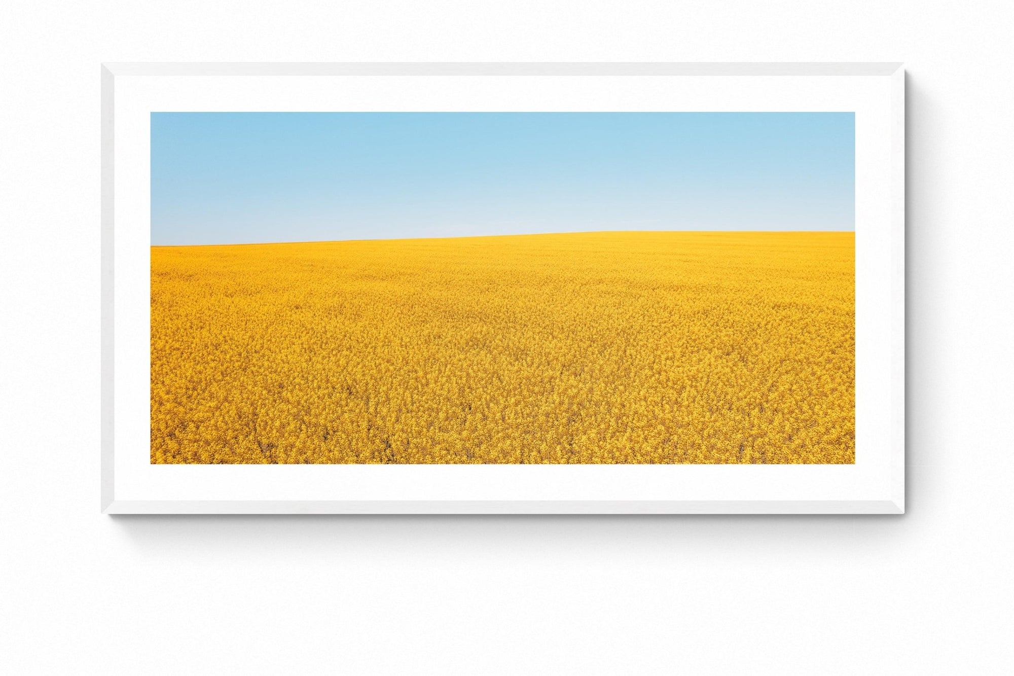 Aisling - Mingenew Wall Art - Framed Print - Days Adrift