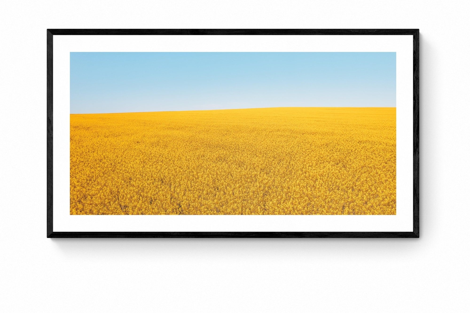 Aisling - Mingenew Wall Art - Framed Print - Days Adrift