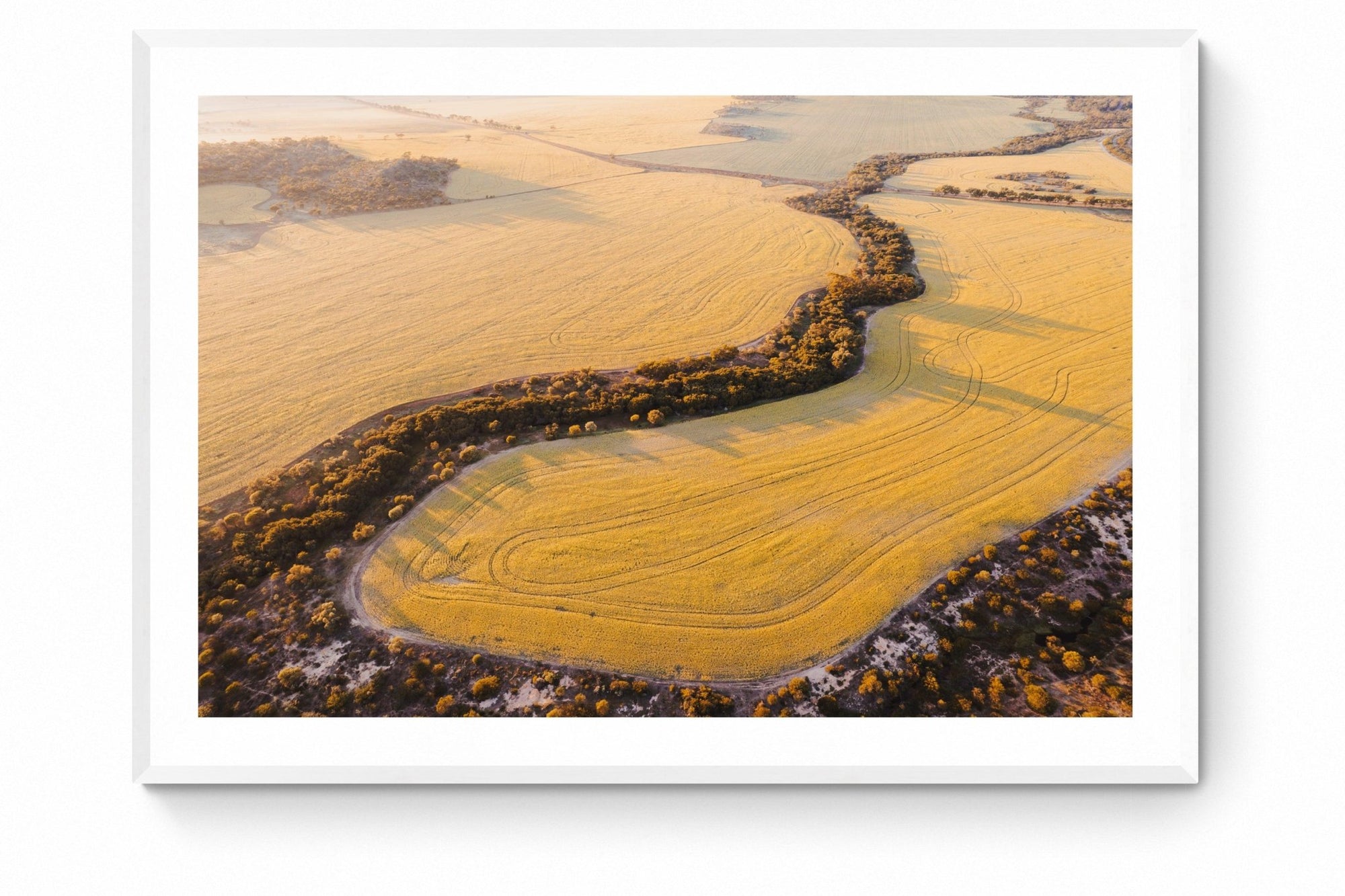 Alexis - Mingenew Wall Art - Framed Print - Days Adrift