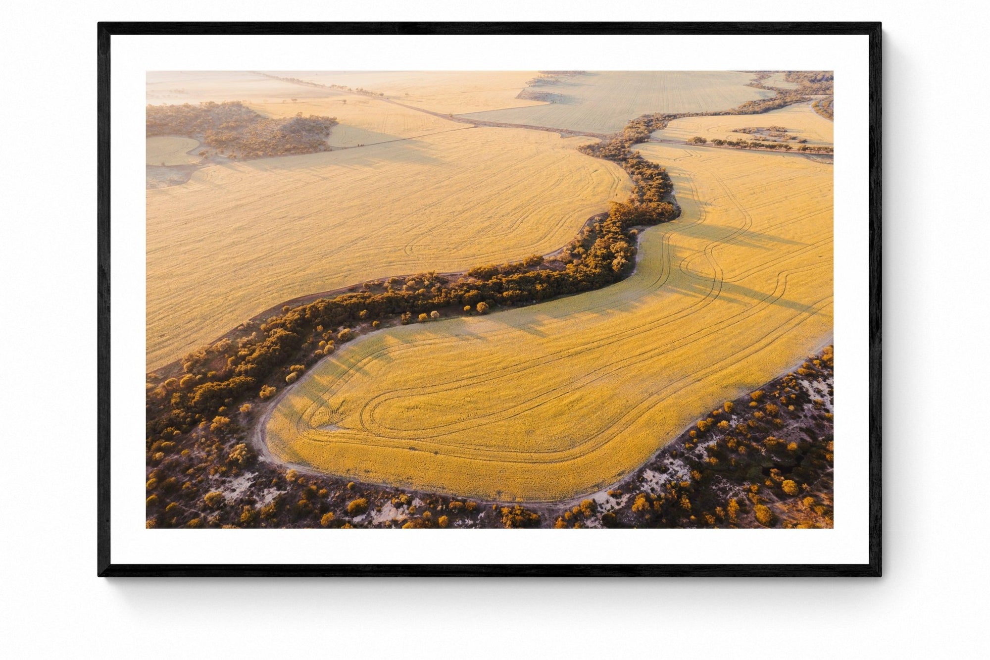 Alexis - Mingenew Wall Art - Framed Print - Days Adrift