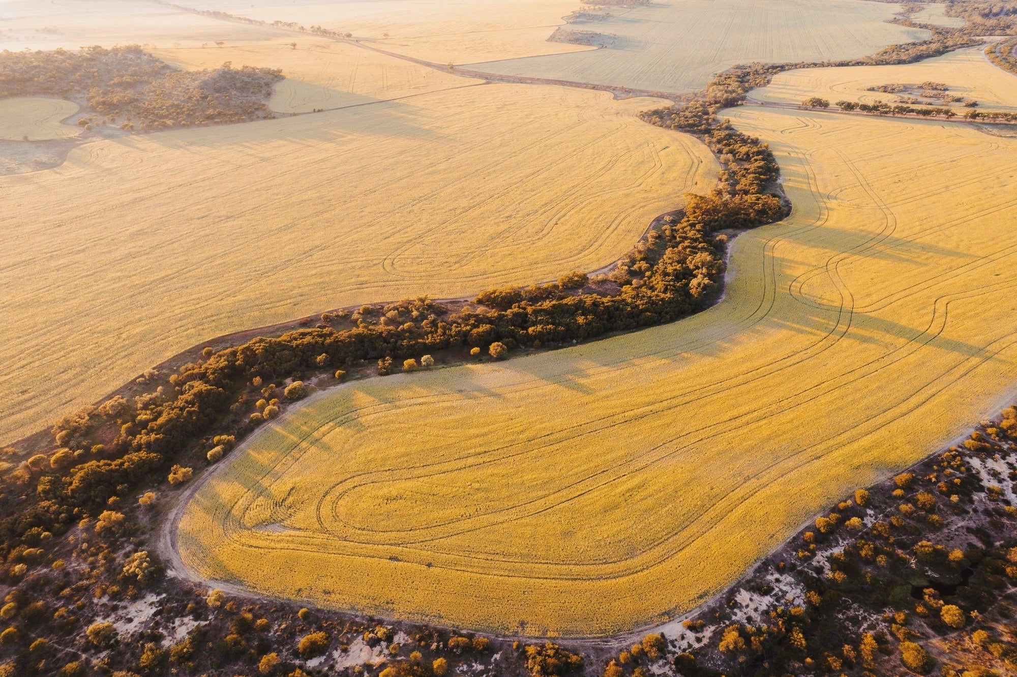 Alexis - Mingenew Wall Art - Framed Print - Days Adrift