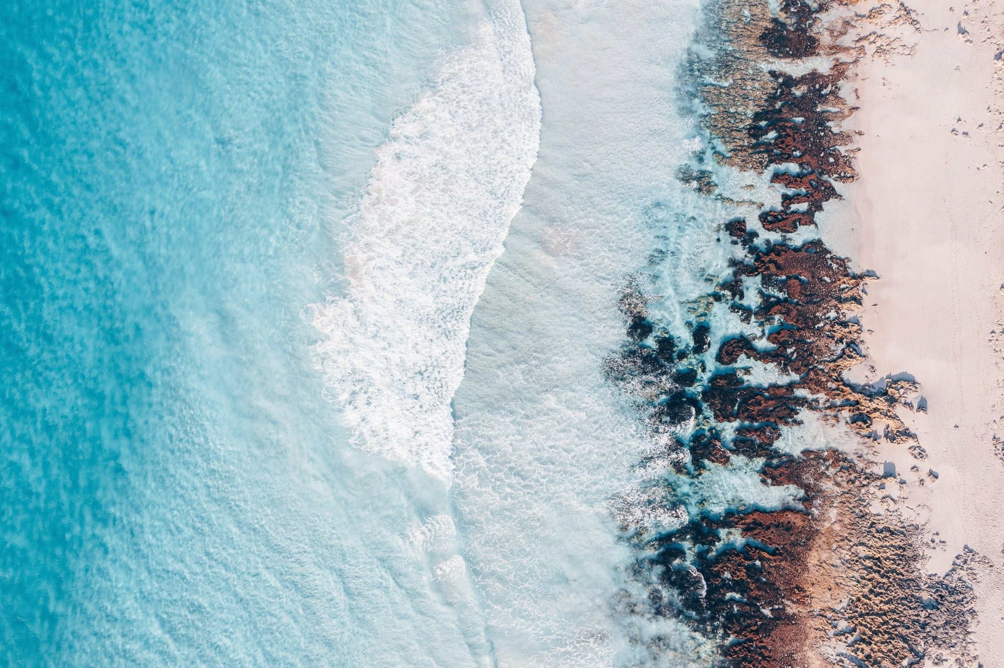 Alfie - Esperance Wall Art - Digital Download - Days Adrift