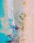 Amber - Hamelin Bay Wall Art - Digital Download - Days Adrift