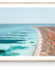 Andrea - Monkey Mia Wall Art - Digital Download - Days Adrift
