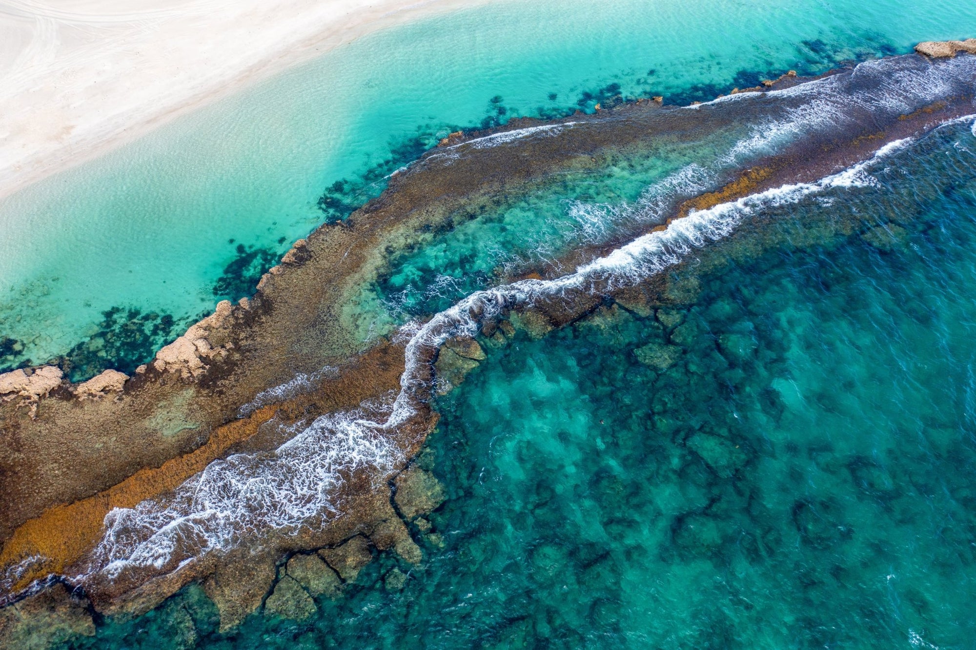 Apollo - Coral Bay Wall Art - Digital Download - Days Adrift