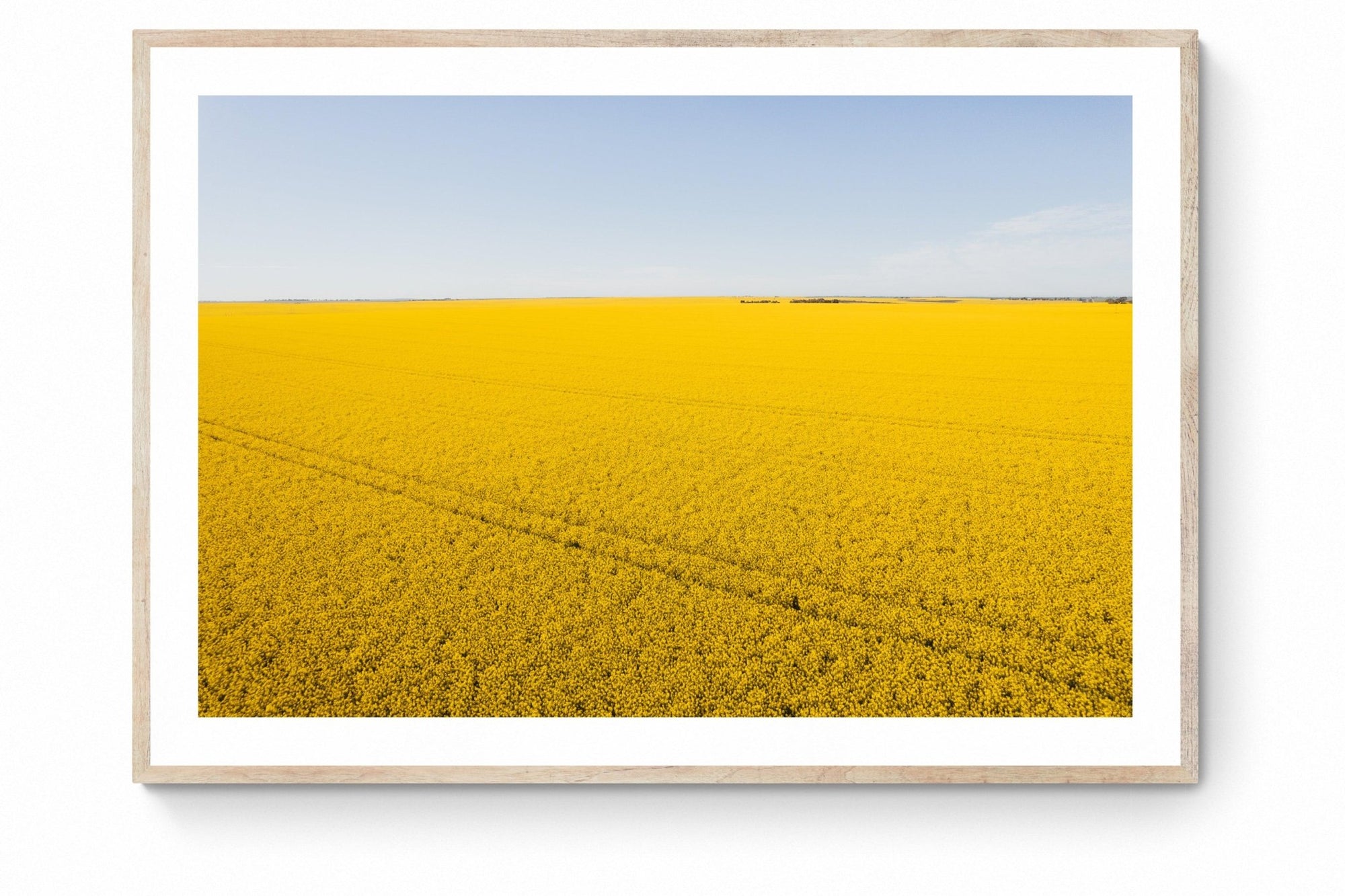 Bacchus - Mingenew Wall Art - Digital Download - Days Adrift