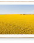 Bacchus - Mingenew Wall Art - Digital Download - Days Adrift