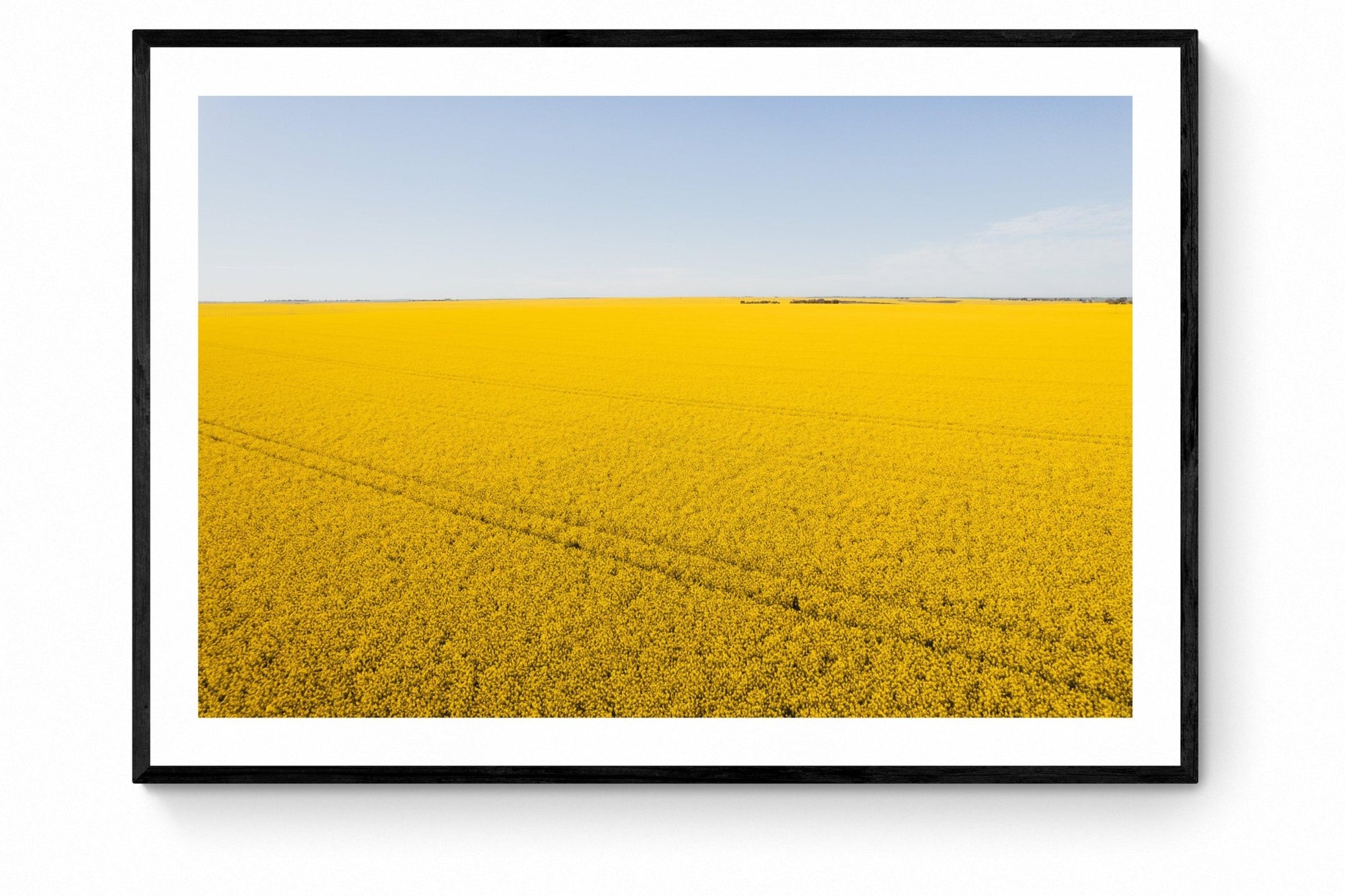 Bacchus - Mingenew Wall Art - Framed Print - Days Adrift