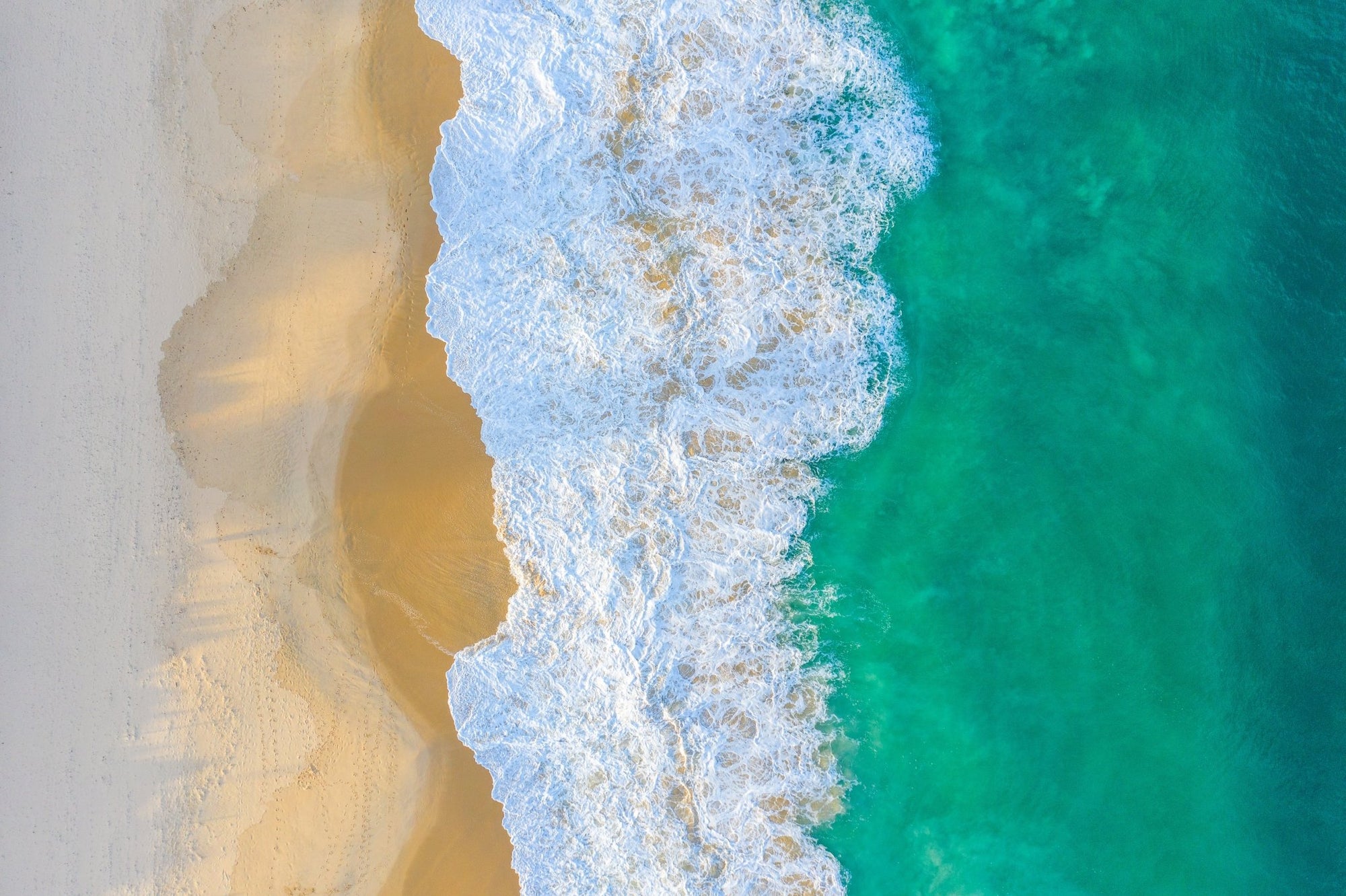 Bailey - Perth Wall Art - Digital Download - Days Adrift