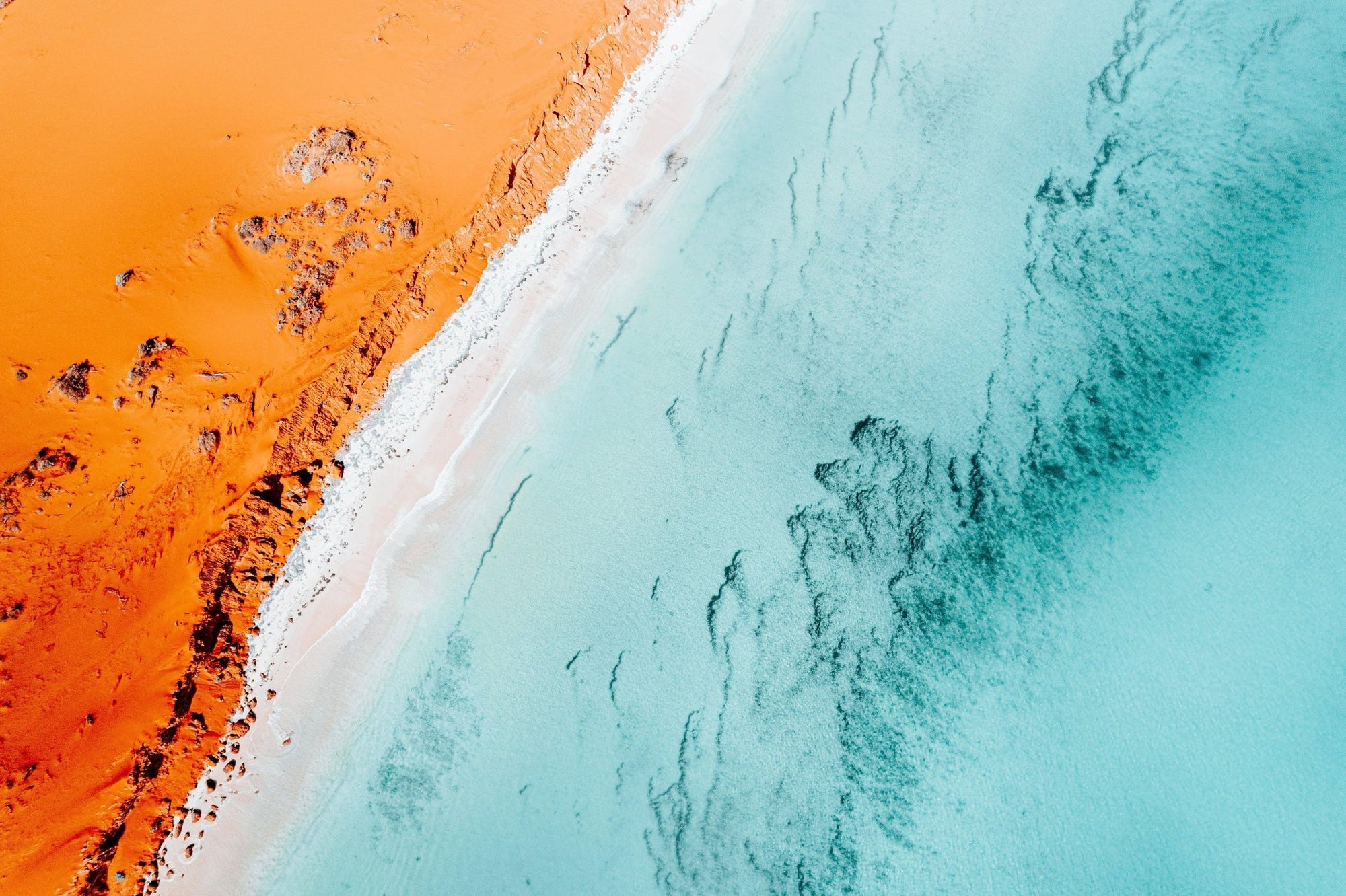 Bella - Shark Bay Wall Art - Digital Download - Days Adrift