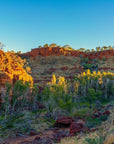 Bree - Karijini Wall Art - Digital Download - Days Adrift