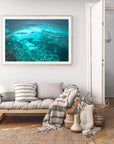 Briar - Dongara Wall Art - Digital Download - Days Adrift