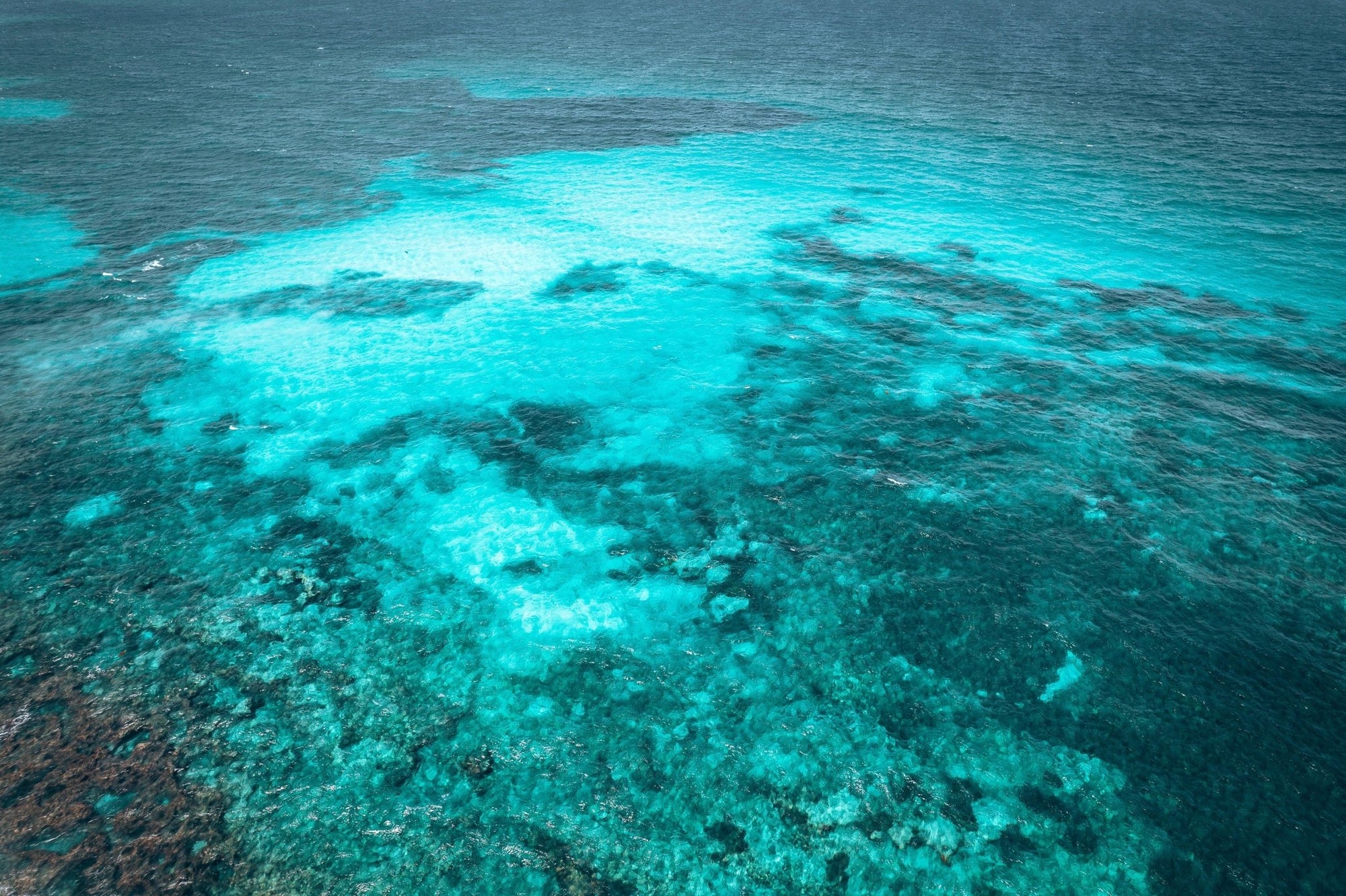 Briar - Dongara Wall Art - Digital Download - Days Adrift